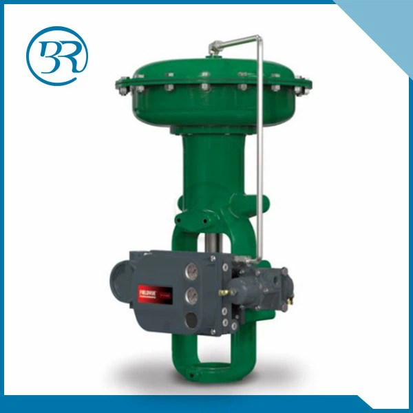 Fisher 655 pavara